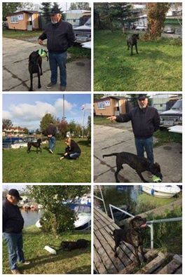 Bella/Tosieńka ma swój dom!!!